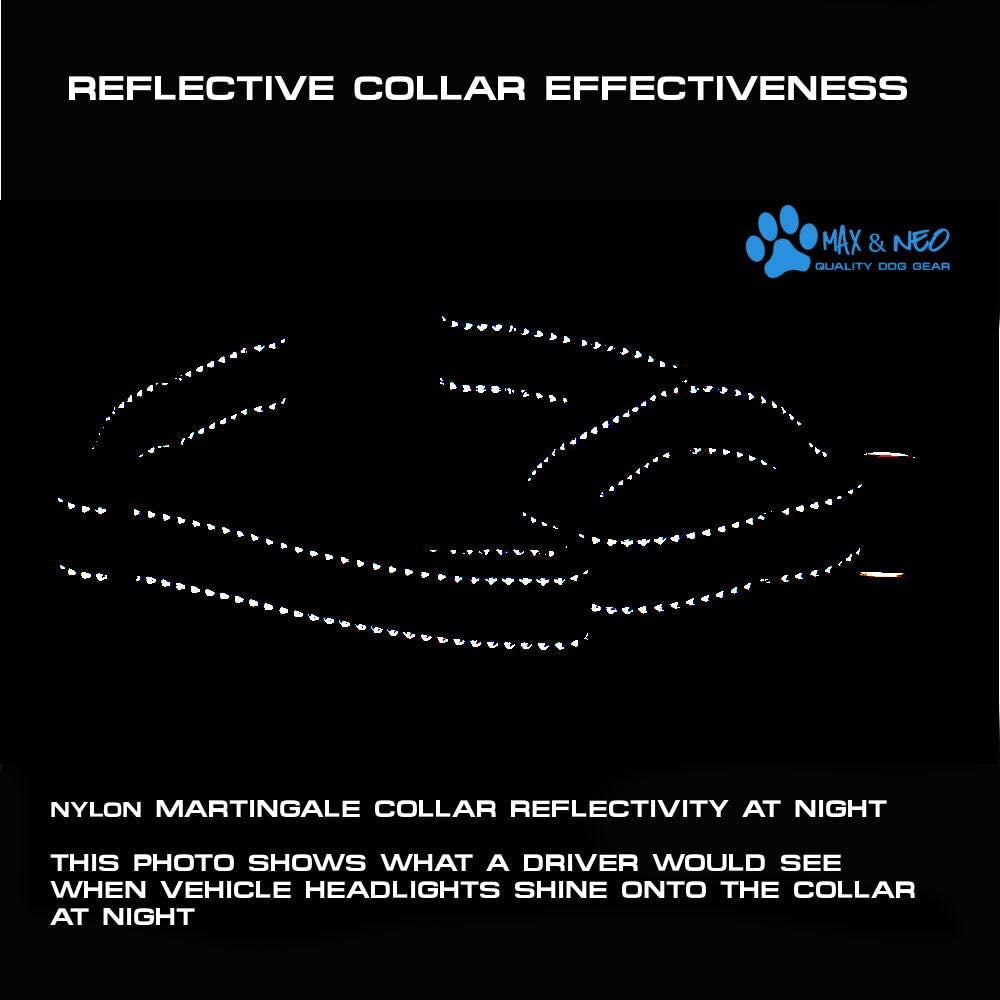 Nylon Martingale Collar - We Donate to a Dog Rescue for Every Collar Sold (Medium, Orange)