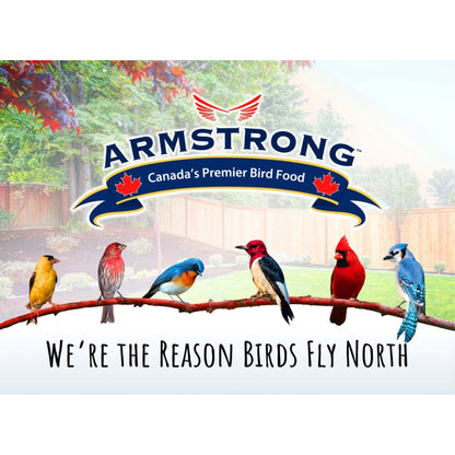 Armstrong Wild Bird Food Safflower Wild Bird Seed for High Energy, 20Lbs