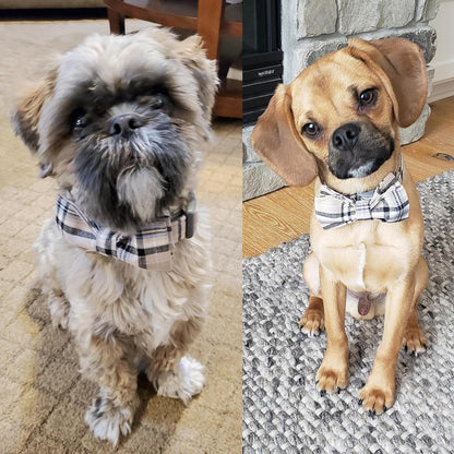 Dog and Cat Collar with Bowtie Grid Collar Plastic Buckle Light Adjustable Collars for Small Medium Large Dogs