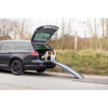 Portable Pet Ramp, Lightweight, Foldable, Easy to Carry