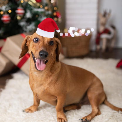 6 Pieces Pet Cat Dog Christmas Santa Hat Holiday Party Cute Costumes for Puppy Kitten Christmas Cosplay Dress up Supplies (Mixed Pattern)