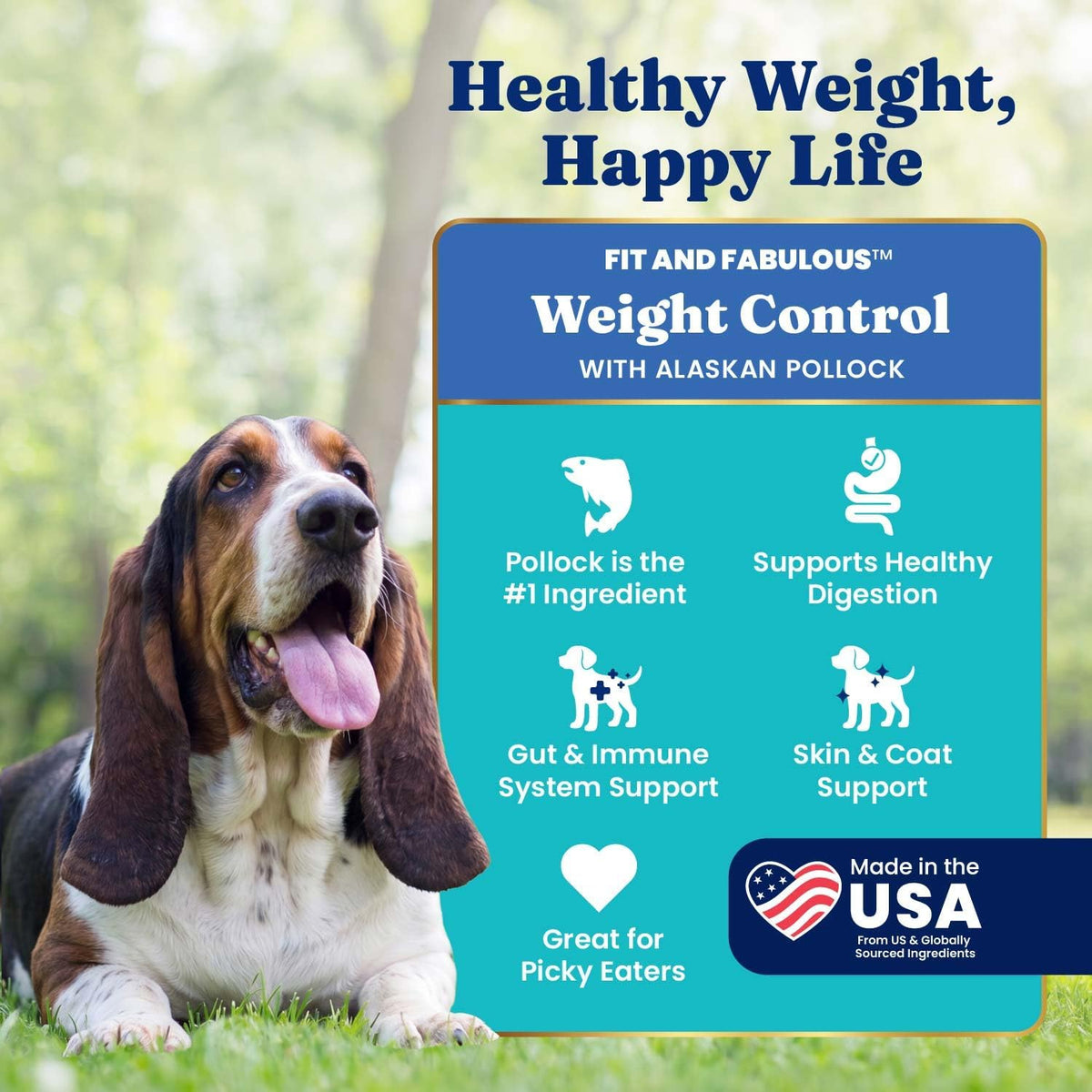Weight Management Dry Dog Food for Adult & Senior Dogs, 24LB