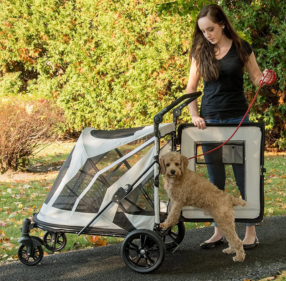 No-Zip Pet Stroller with Dual Entry, Push Button Zipperless Entry for Single or Multiple Dogs/Cats, Pet Can Easily Walk In/Out, No Need to Lift Pet, Gel-Filled Tires, 1 Model, NEW Fog