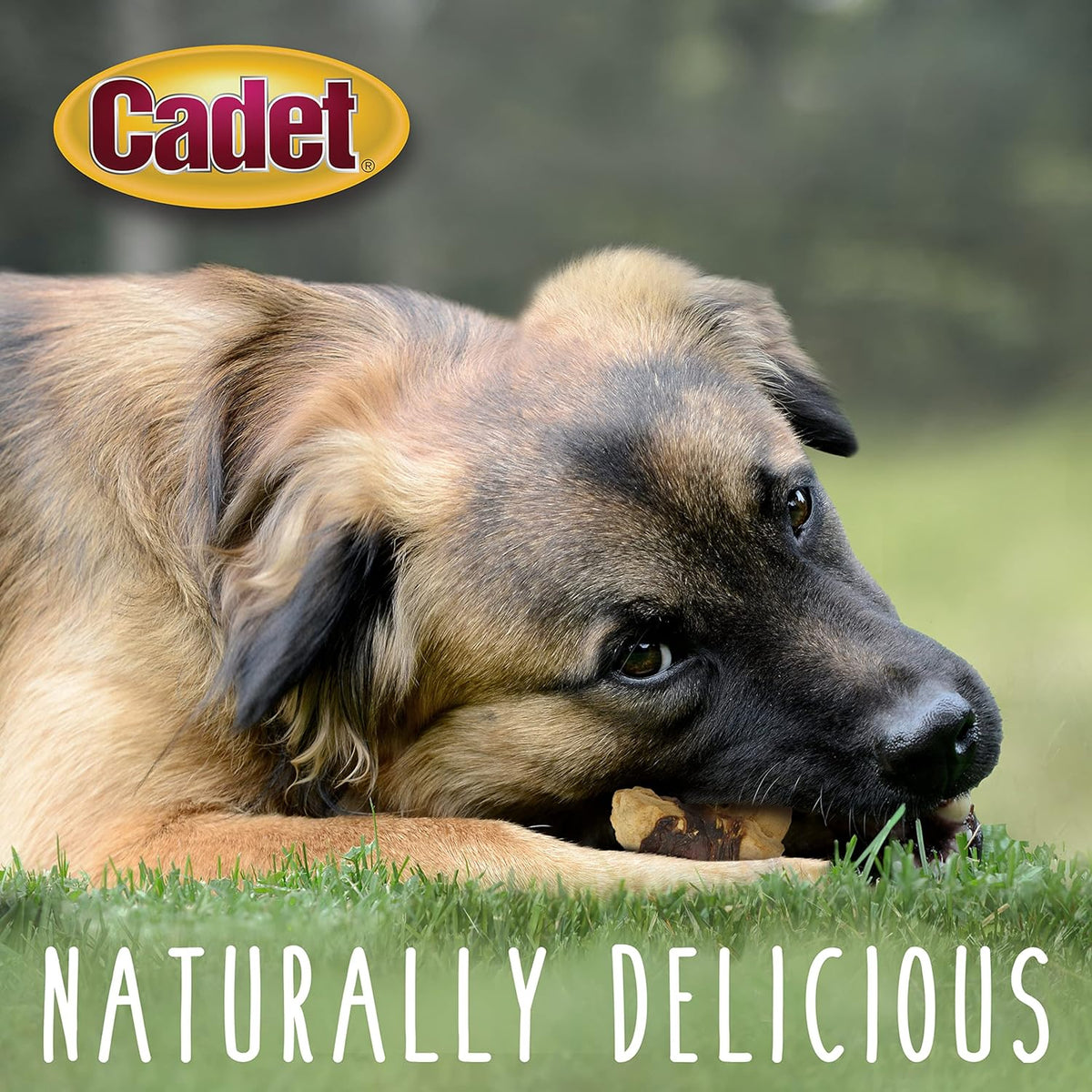 Gourmet Chicken & Apple Wrapped Biscuits Dog Treats, 28 Oz