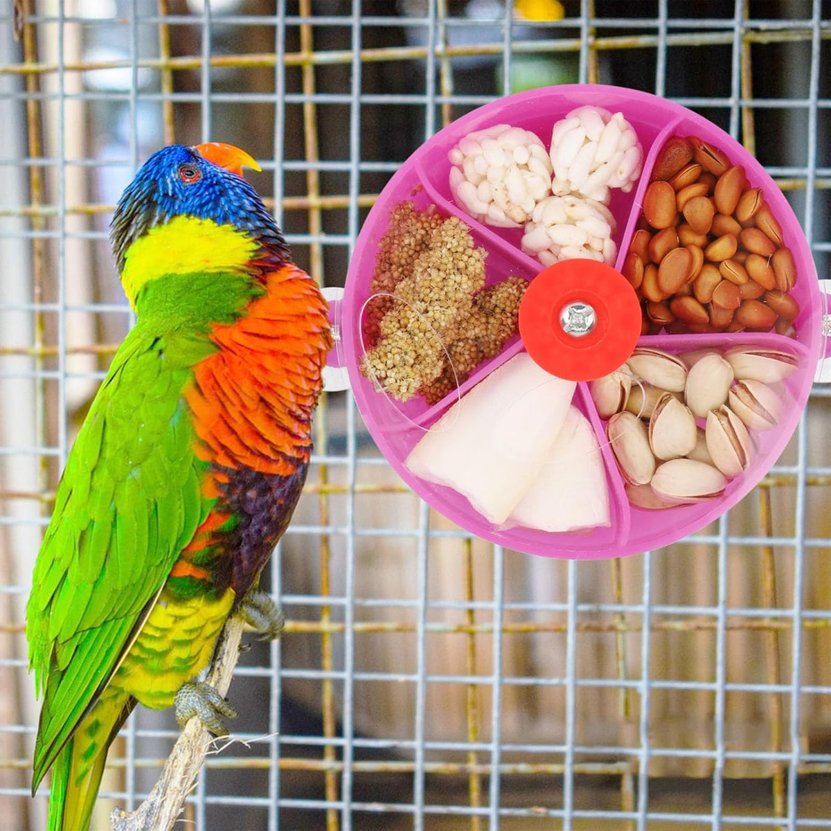 Bird Creative Foraging System Wheel Seed Food Ball Rotate Training Toy for Small and Medium Parrots Parakeet Cockatiel Conure (Purple)