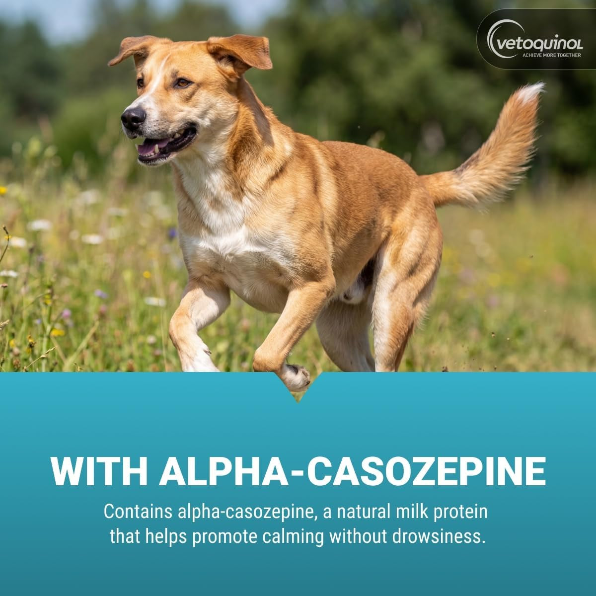 Zylkene, Calming Capsules for Medium to Large Dogs, 30 Count