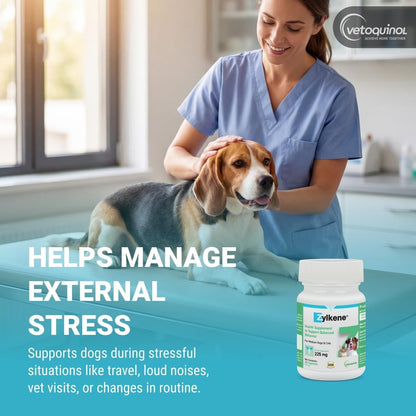 Zylkene, Calming Capsules for Medium to Large Dogs, 30 Count