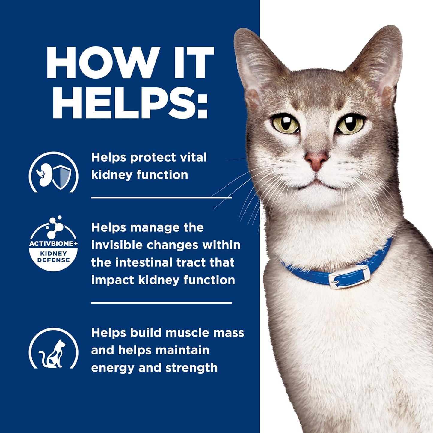 Hill'S Prescription Diet K/D Kidney Care Dry Cat Food
