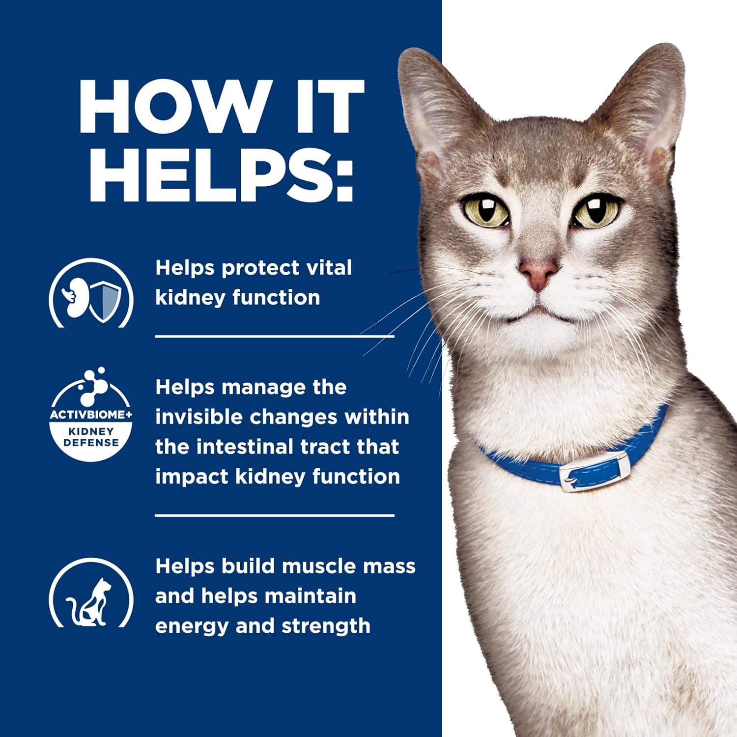 Hill'S Prescription Diet K/D Kidney Care Dry Cat Food