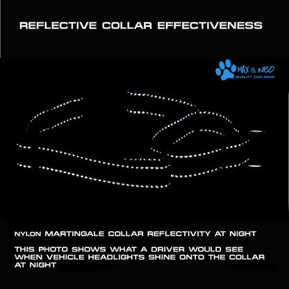 Nylon Martingale Collar - We Donate to a Dog Rescue for Every Collar Sold (Medium, Orange)