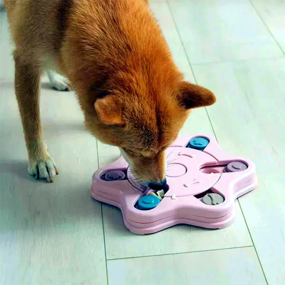 Anti-Choking Interactive Puzzle Toy for Slow Dispensing Feeding for Pets, 2023 New Dog Puzzle Toys, Dog/Cat Food Puzzle Feeder, Dog Stimulation Toys for Small and Medium-Sized Dogs (Blue, Pawprint)
