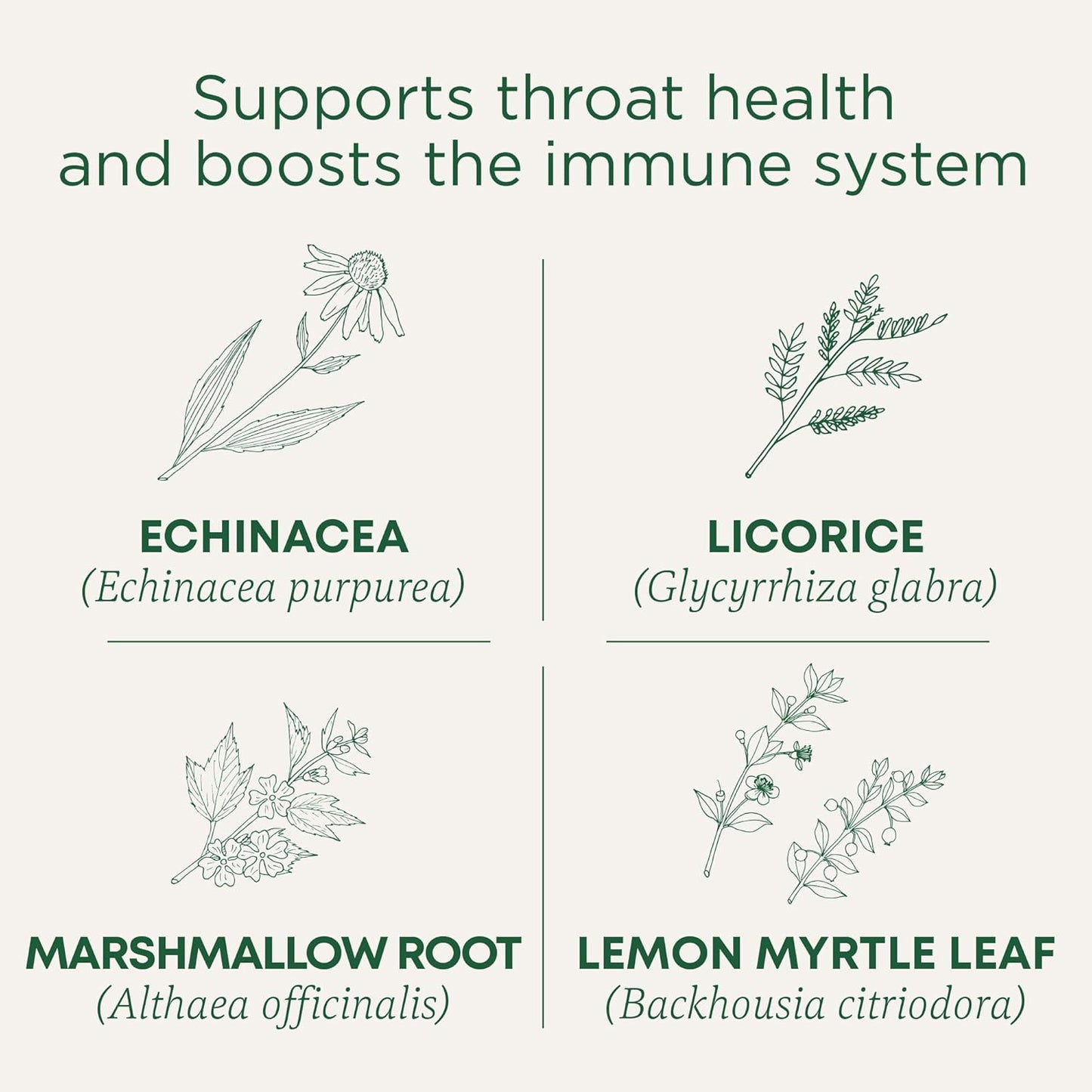 Organic, Throat Coat Lozenges, Lemon Ginger Echinacea - Herbal Cough Drops, Helps Soothe Sore Throat - Non-Gmo, Stimulant-Free - 16 Count