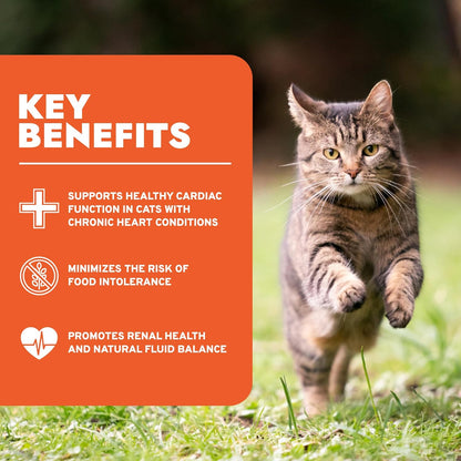 - Renal Wet Cat Food for Kidney Support, 3.5 Oz, 32-Pack
