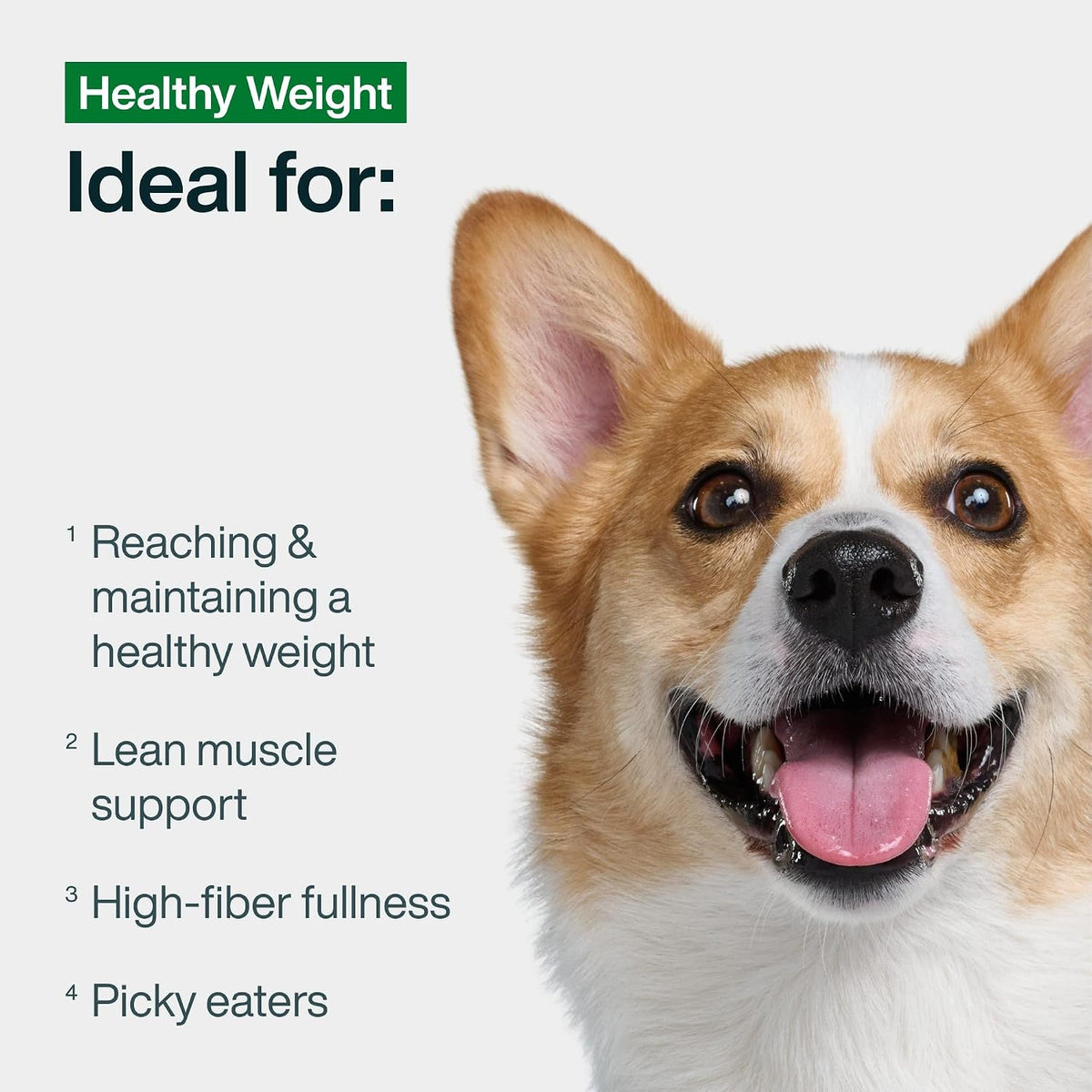 Fresh Frozen Healthy Weight Dog Food, Topper - Pork, 7 Pack