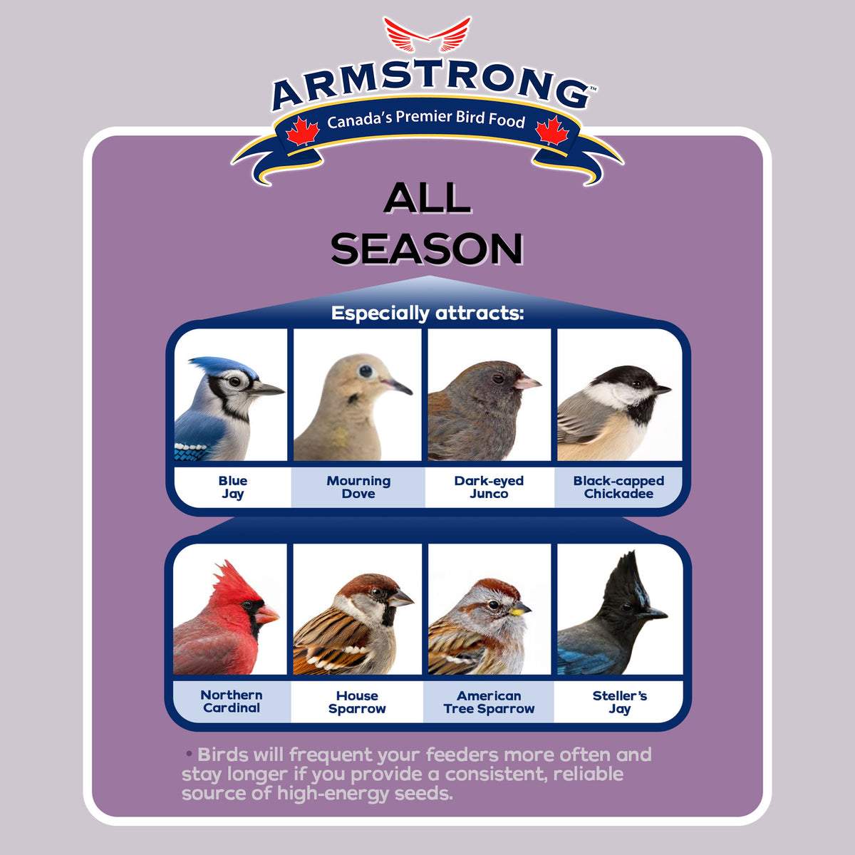 Armstrong Wild Bird Food High Energy Diet All Season Bird Seed Blend, 33Lb