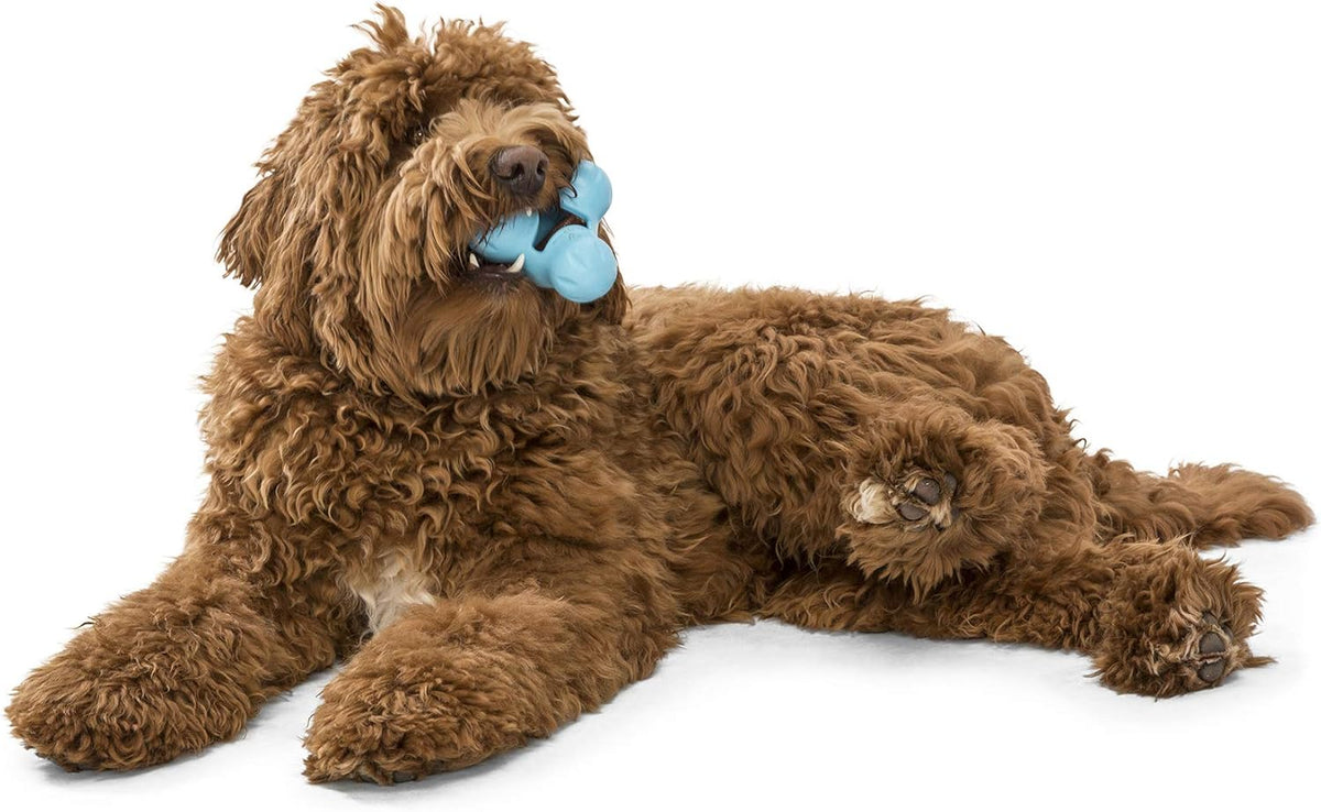 Zogoflex Tux Treat Dispensing Dog Chew Toy – Interactive Chewing Toy for Dogs – Dog Games for Aggressive Chewers, Fetch, Catch – Holds Kibble, Treats, Small 4", Aqua Blue