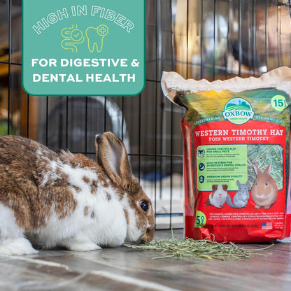 Western Timothy Hay, Rabbit & Guinea Pig Hay, High Fiber, USA, 90 Oz