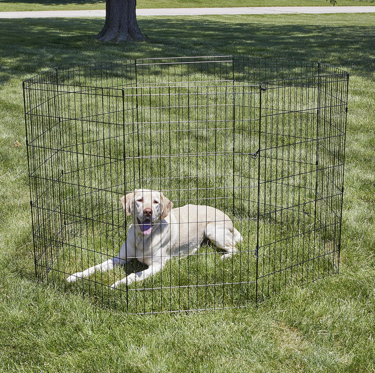 by Midwest 42-Inch Exercise Pen, No Door, 16 Sq Ft Play Area
