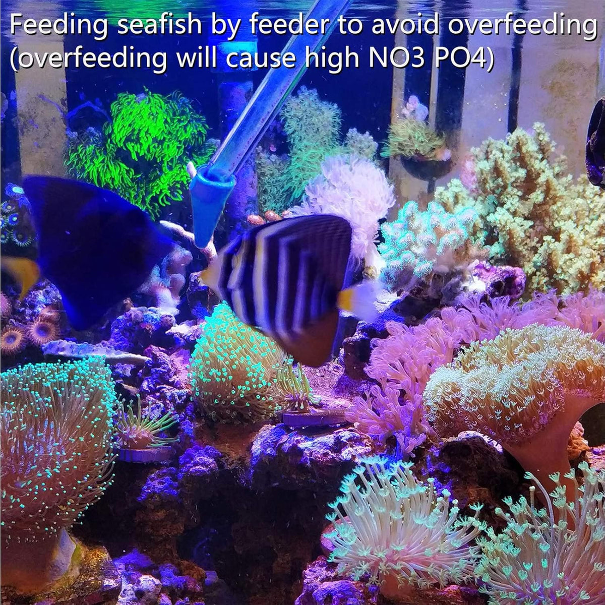 Coral Feeder Long Syringe Tube Liquid Fertilizer Feeder SPS HPS Marine Reef Coral Feeder Tool Fish Excreta Cleaner (6 Units 46.5CM/18.3 Inch)