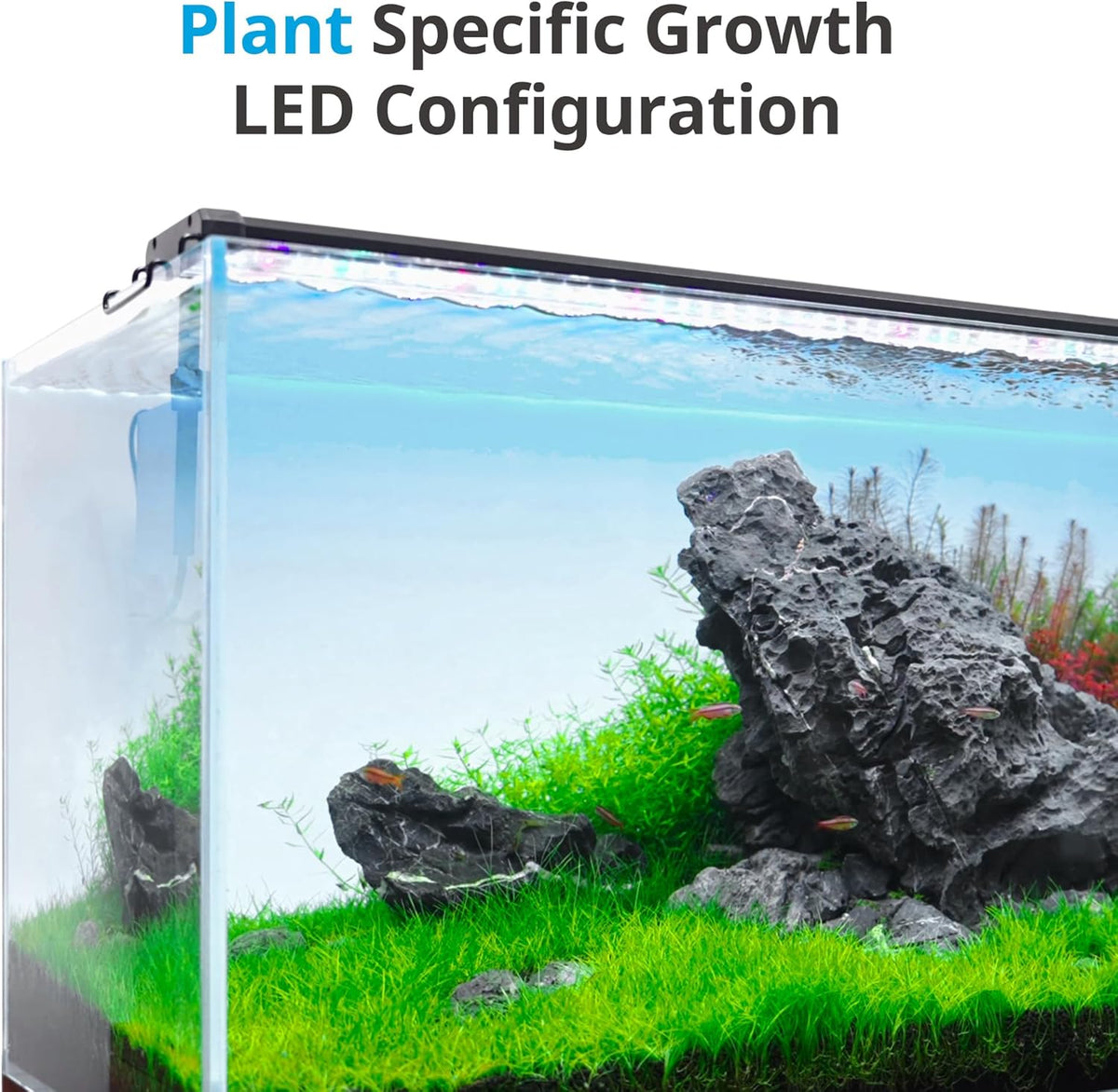 Classicled plus LED Aquarium Light, 32W, for 48 to 54 Inch Fish Tank