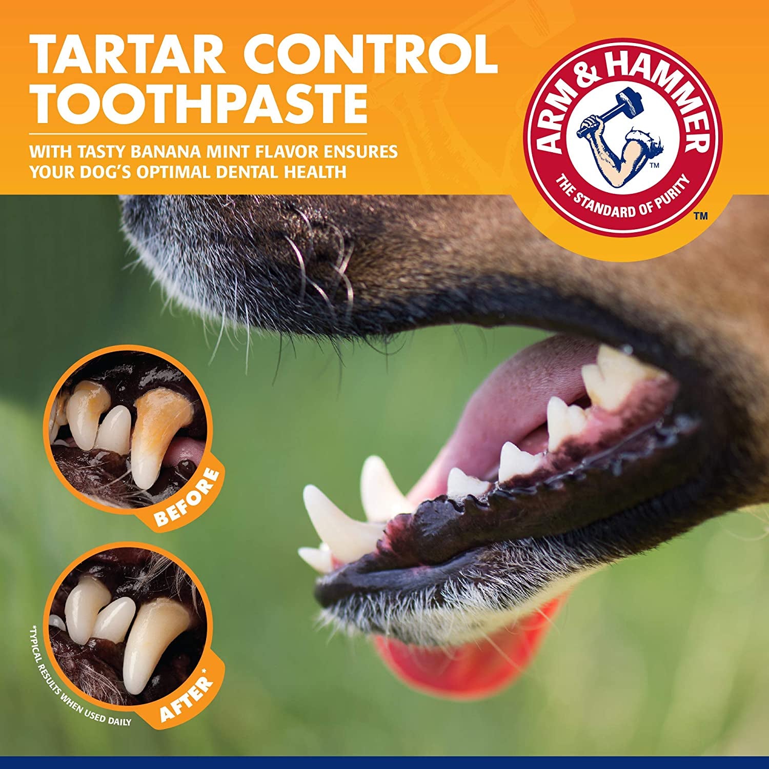 Tartar Control Dog Dental Kit, Banana Mint, 3-Piece