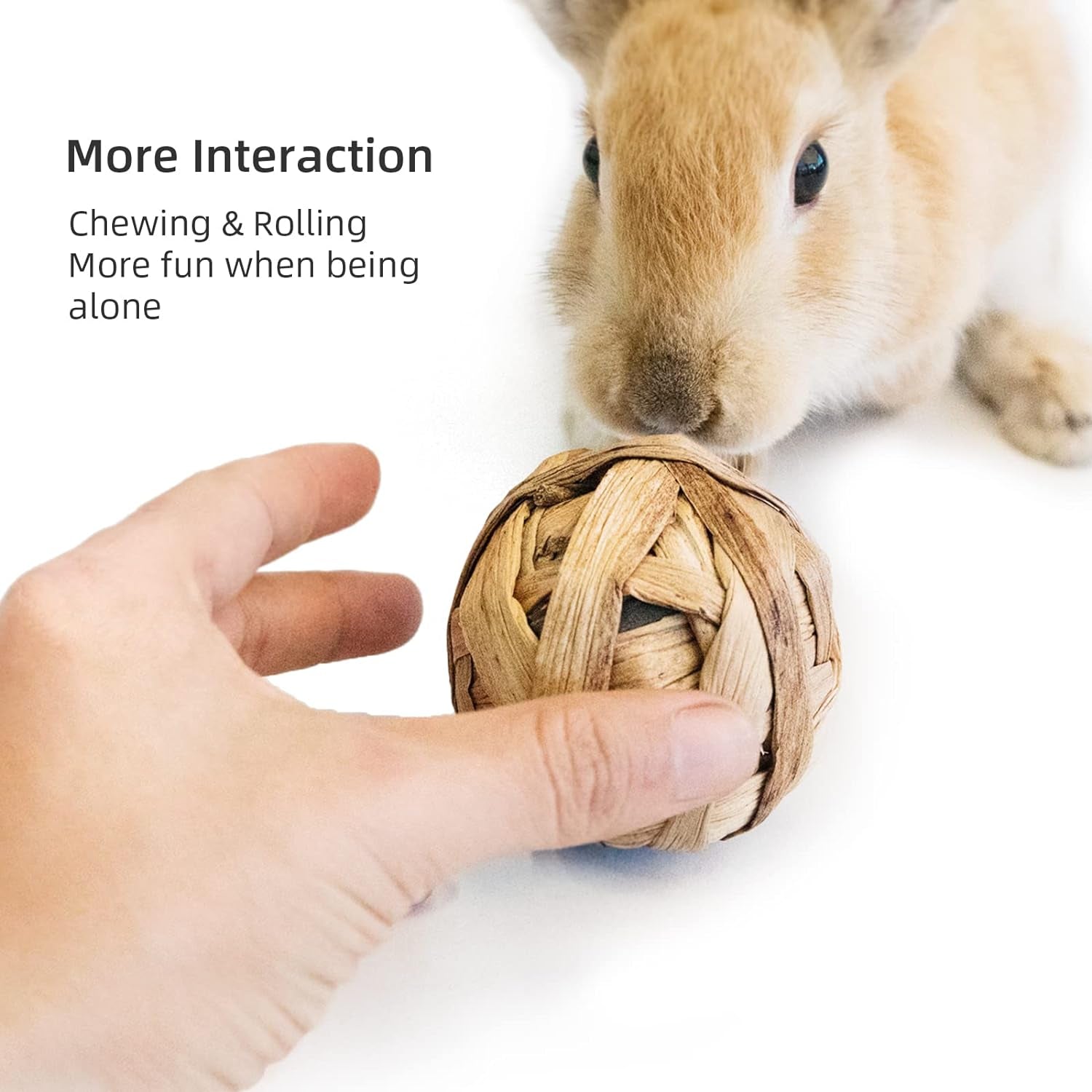 Small Animals Play Activity Balls Rolling Chew Toys(Pack of 8)