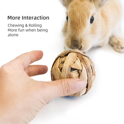 Small Animals Play Activity Balls Rolling Chew Toys(Pack of 8)