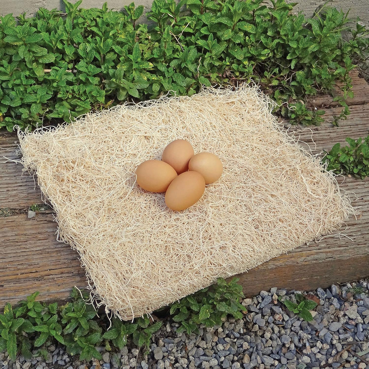 Chicken Nesting Pads by Petmate, 13"X13", 10-Pack, Beige