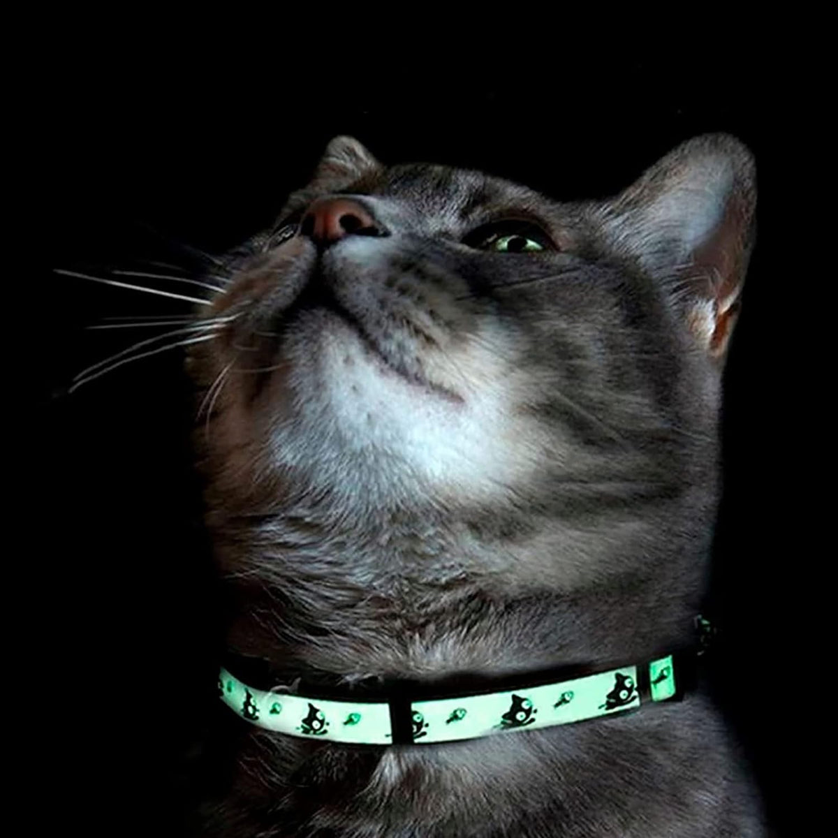 Glow in the Dark Cat Collar with Breakaway Safety Buckle & Bell Adjustable Kitten Collar, Teal