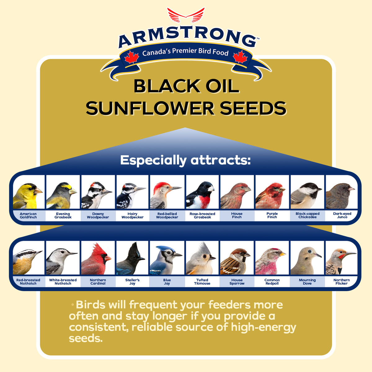 Armstrong Wild Bird Food Black Oil Sunflower Bird Seed, 35.3Lbs
