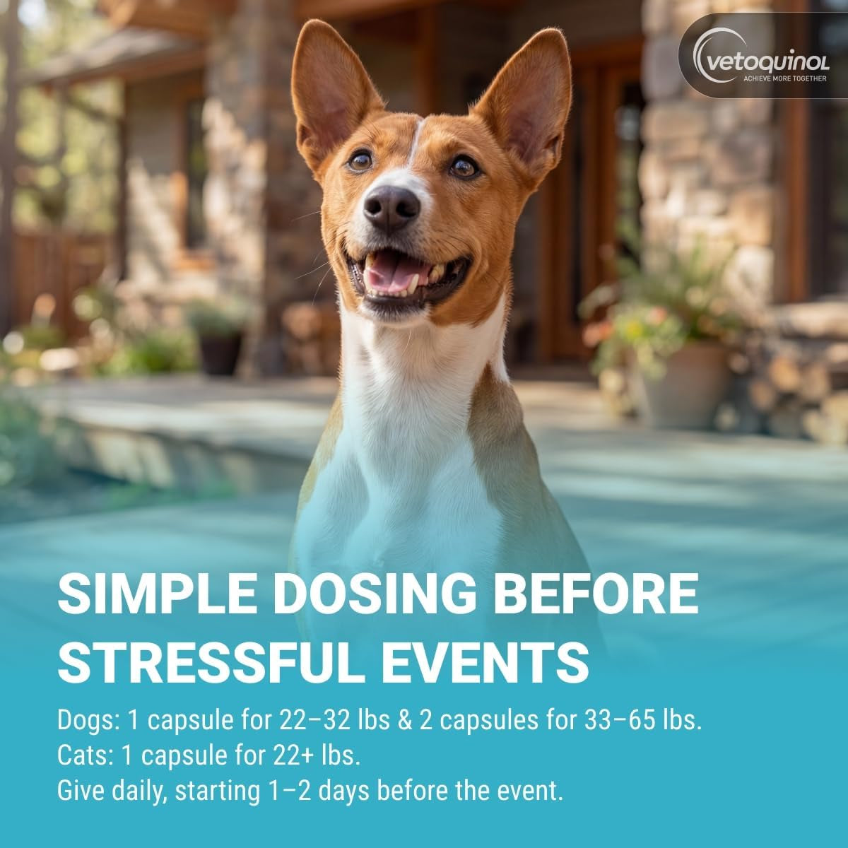 Zylkene, Calming Capsules for Medium to Large Dogs, 30 Count