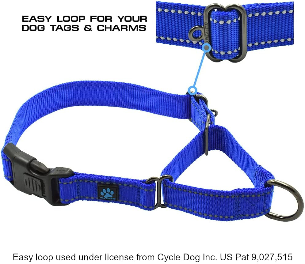 Nylon Martingale Collar - We Donate to a Dog Rescue for Every Collar Sold (Medium, Orange)