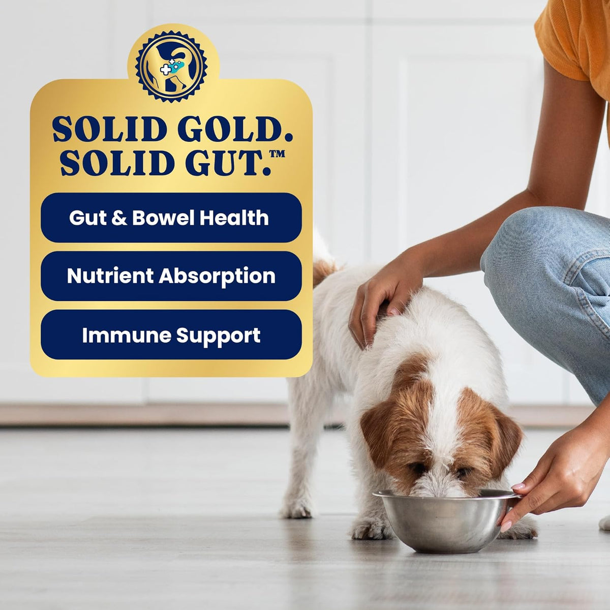 High Calorie Chicken Wet Dog Food, Adult & Puppies, 6Ct Cans