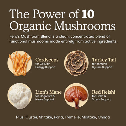 Mushroom Supplement for Dogs & Cats with Turkey Tail, 120 Scoops