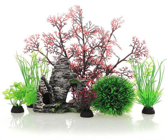 Minor Paws