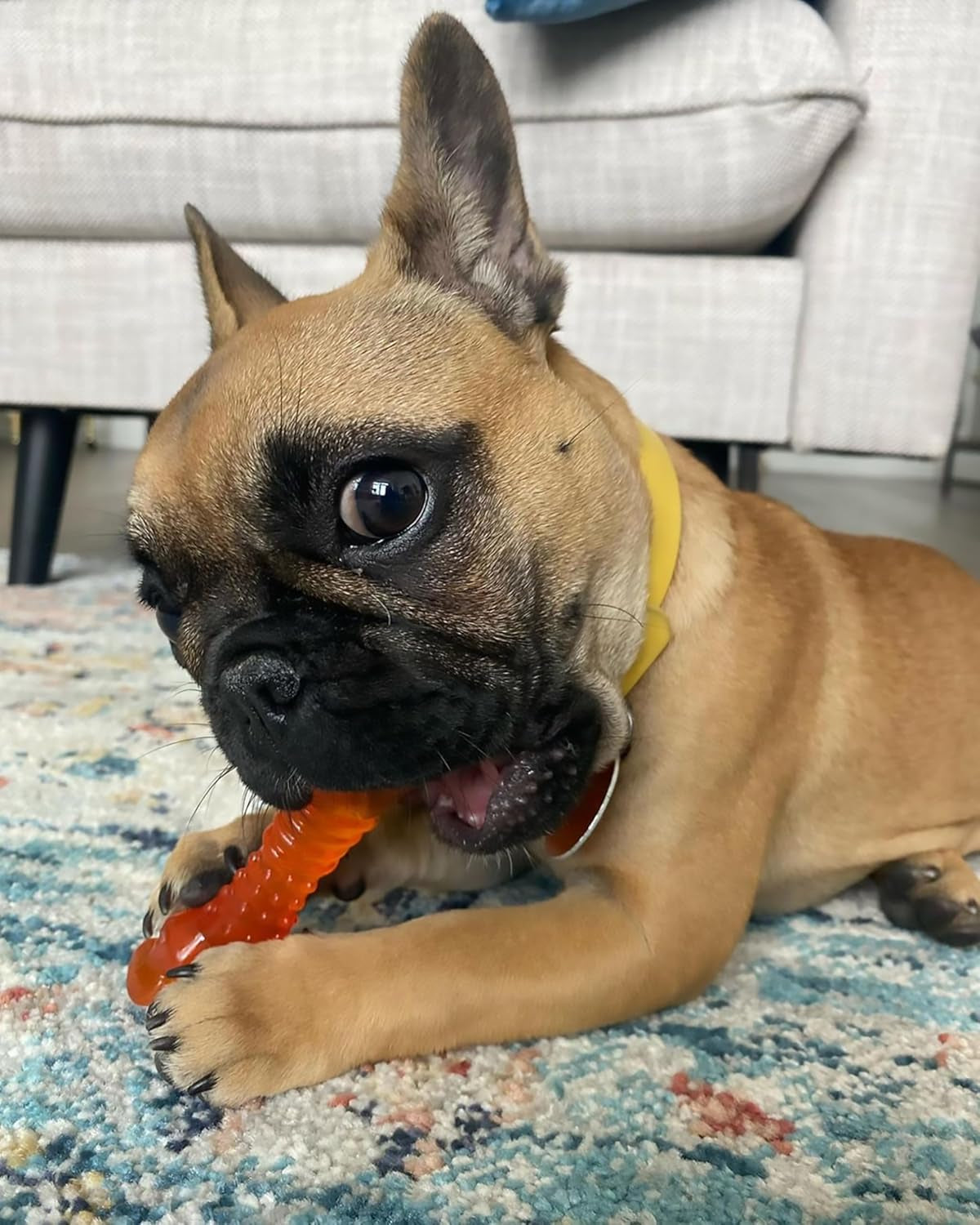 Puppy Chew Freezer Textured Knuckle Bone Dog Chew Toy, Small