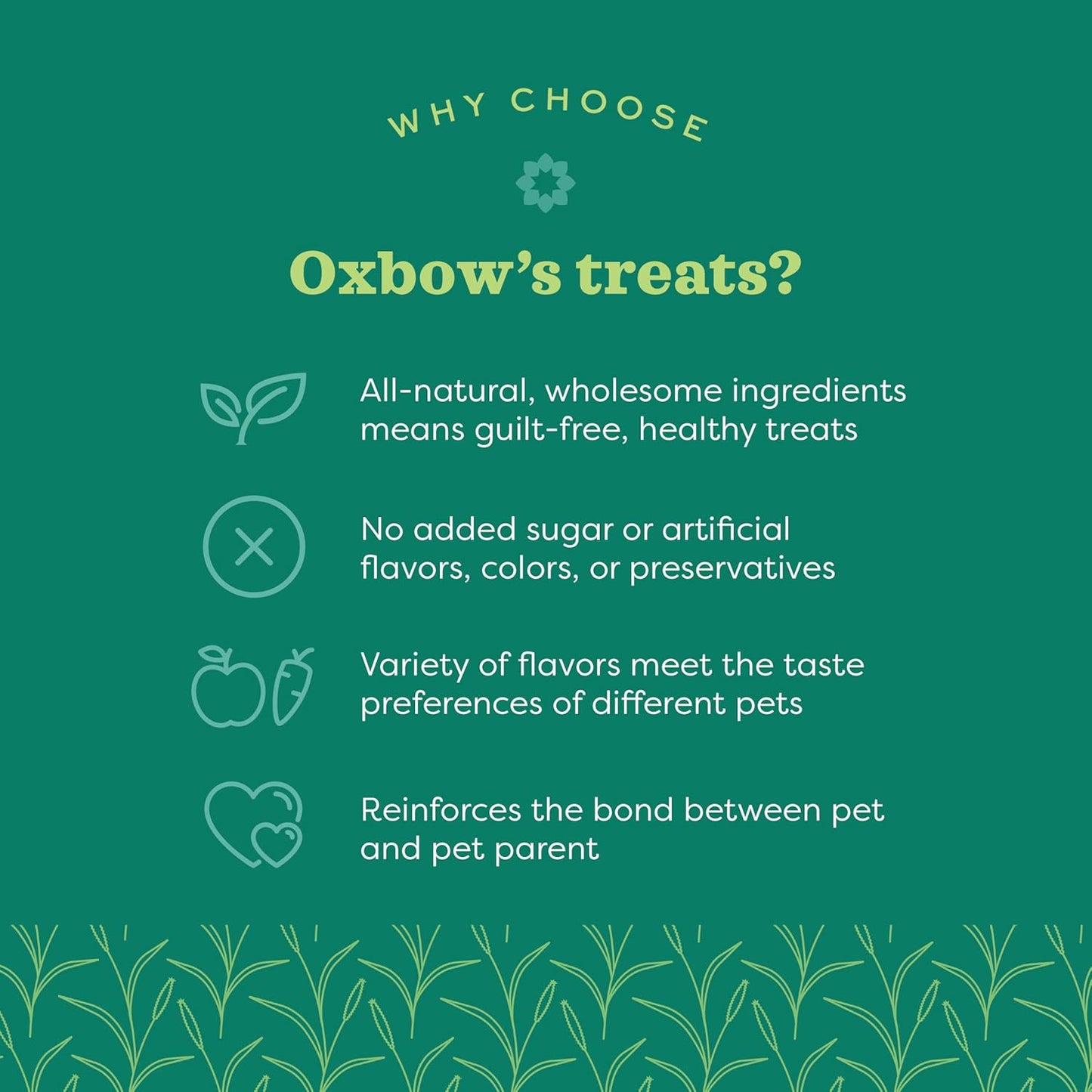 Organic Barley Biscuits Rabbit Treats, Guinea Pig Treats, 2.65 Oz