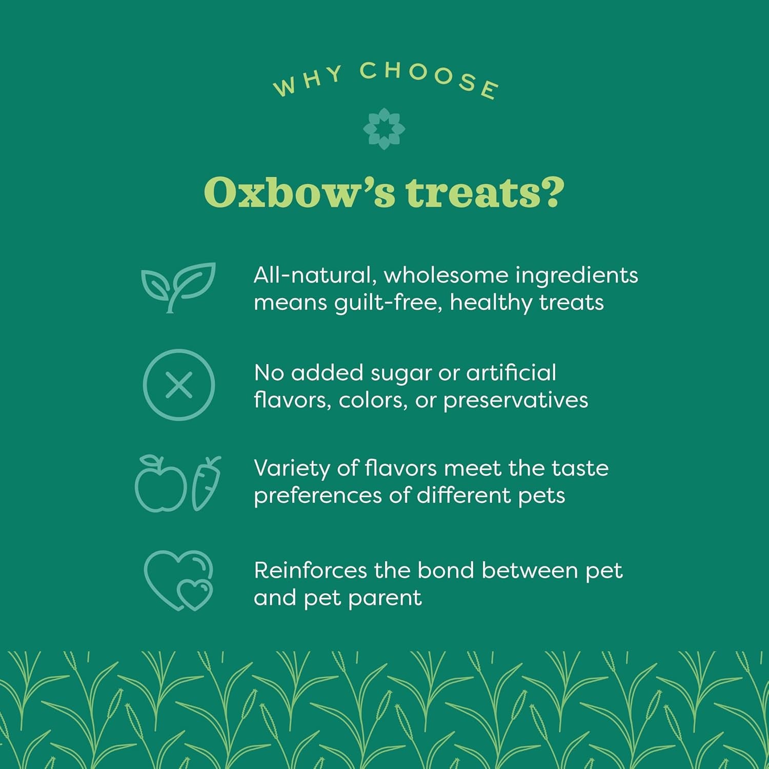 Organic Barley Biscuits Rabbit Treats, Guinea Pig Treats, 2.65 Oz