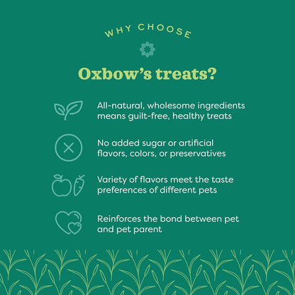 Organic Barley Biscuits Rabbit Treats, Guinea Pig Treats, 2.65 Oz