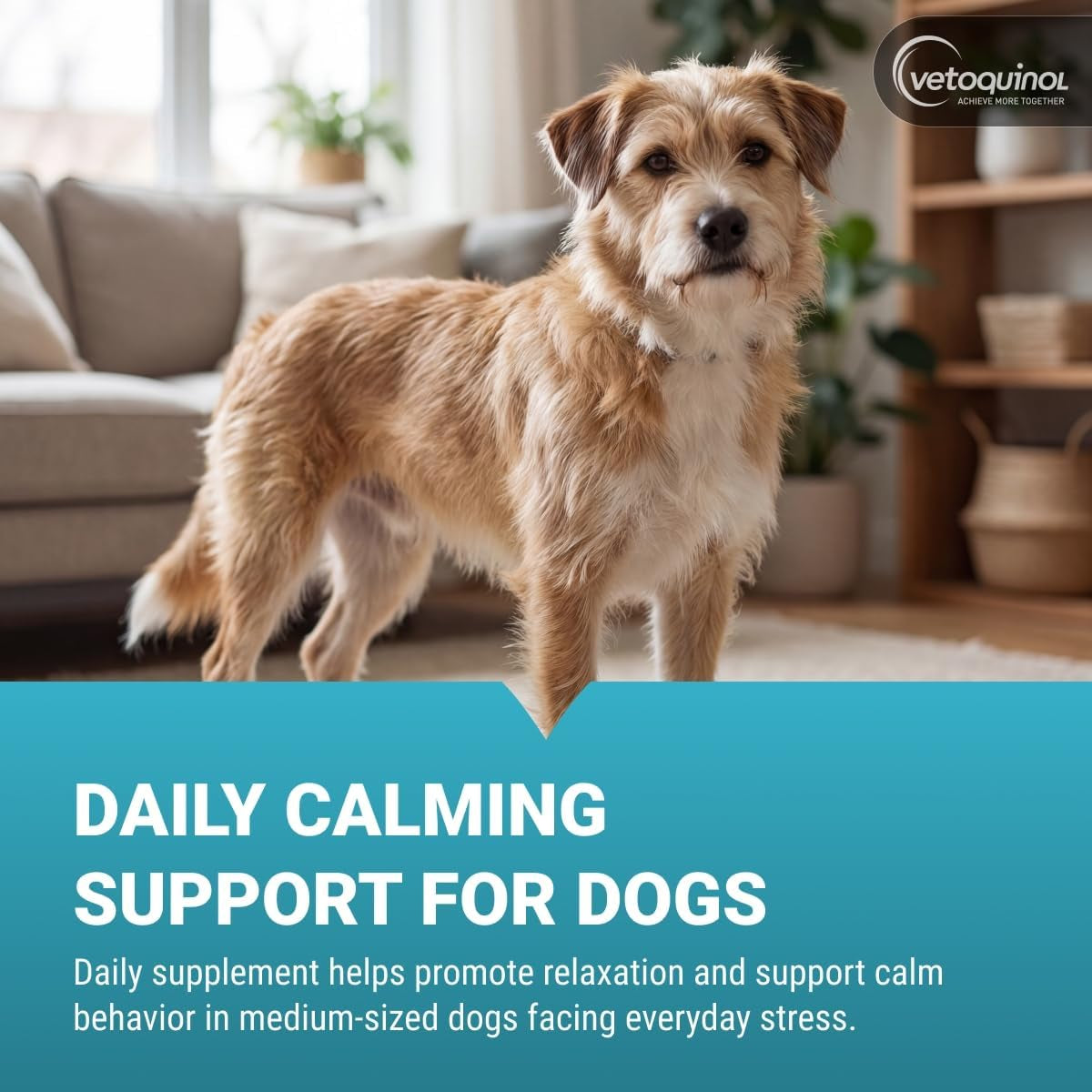 Zylkene, Calming Capsules for Medium to Large Dogs, 30 Count