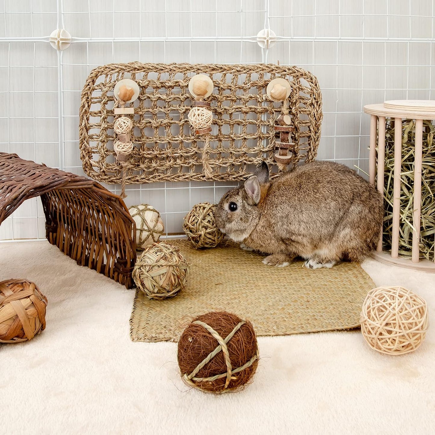 Small Animals Play Activity Balls Rolling Chew Toys(Pack of 8)