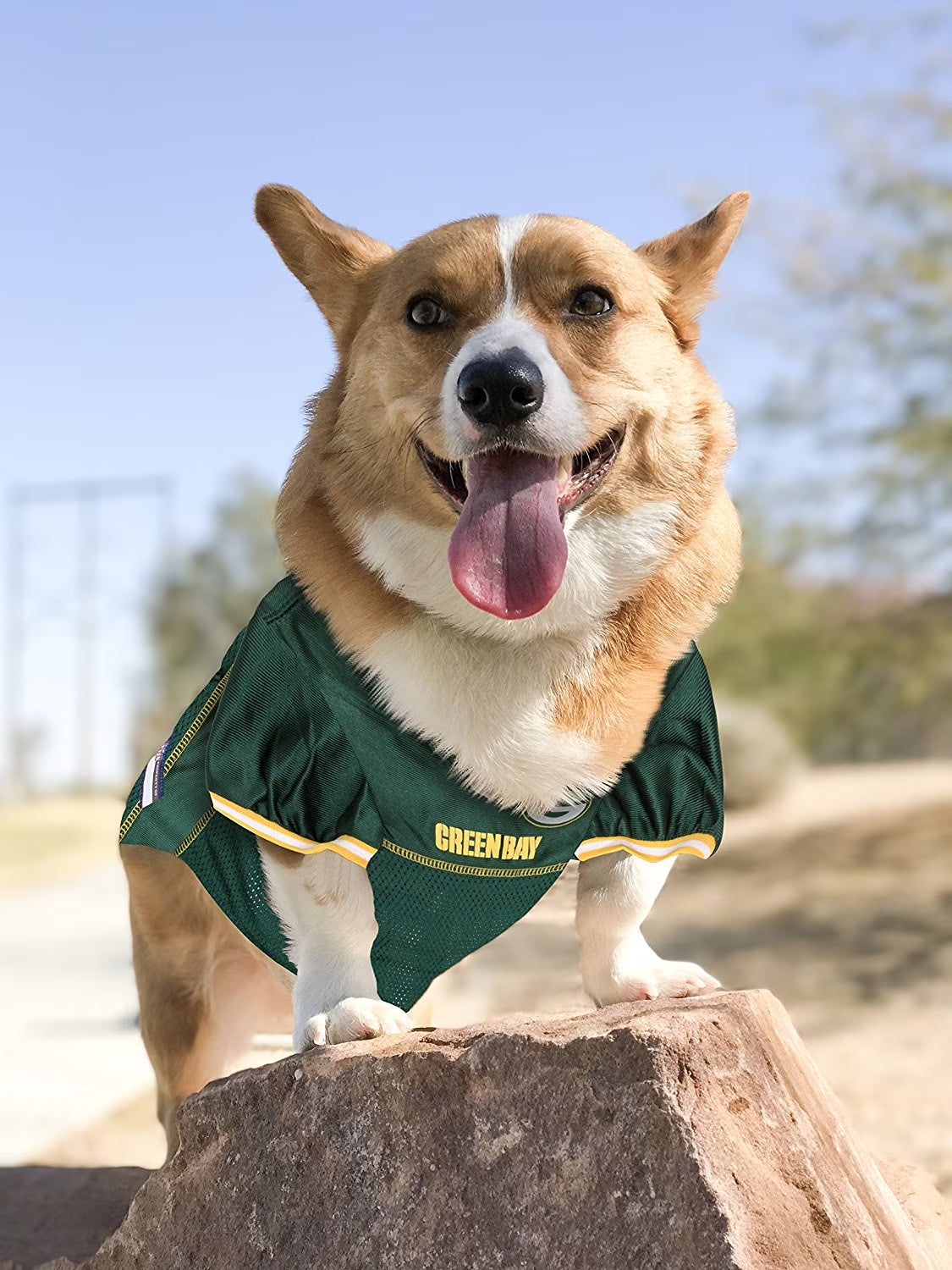NFL Green Bay Packerslicensed Mesh Jersey for Dogs and Cats - Extra Small