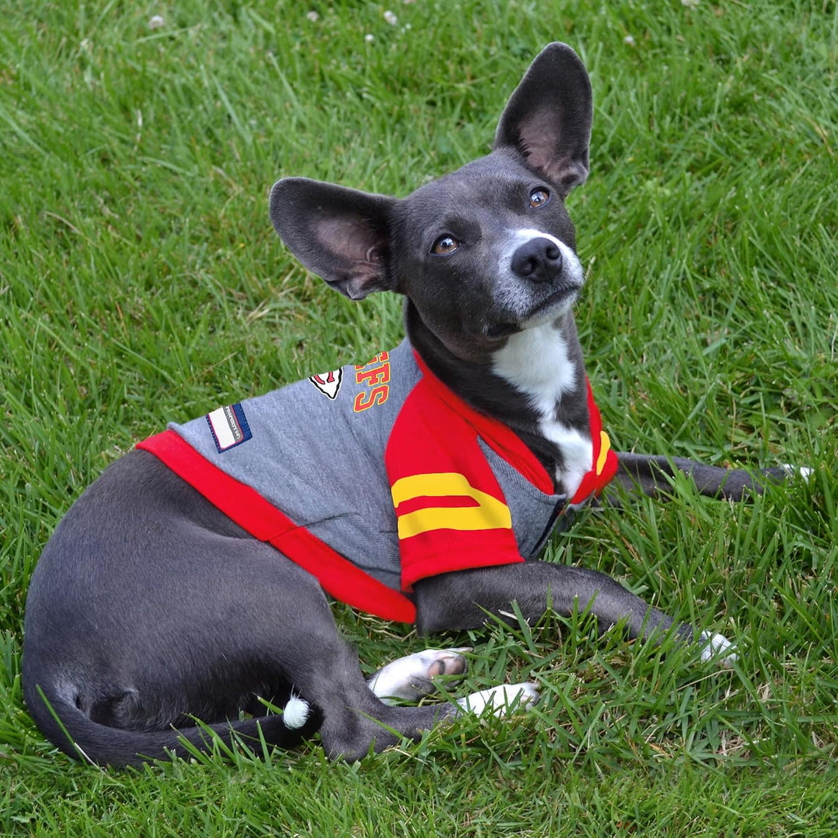 NFL Kansas City Chiefs Hoodie for Dogs & Cats. | NFL Football Licensed Dog Hoody Tee Shirt, Medium| Sports Hoody T-Shirt for Pets | Licensed Sporty Dog Shirt