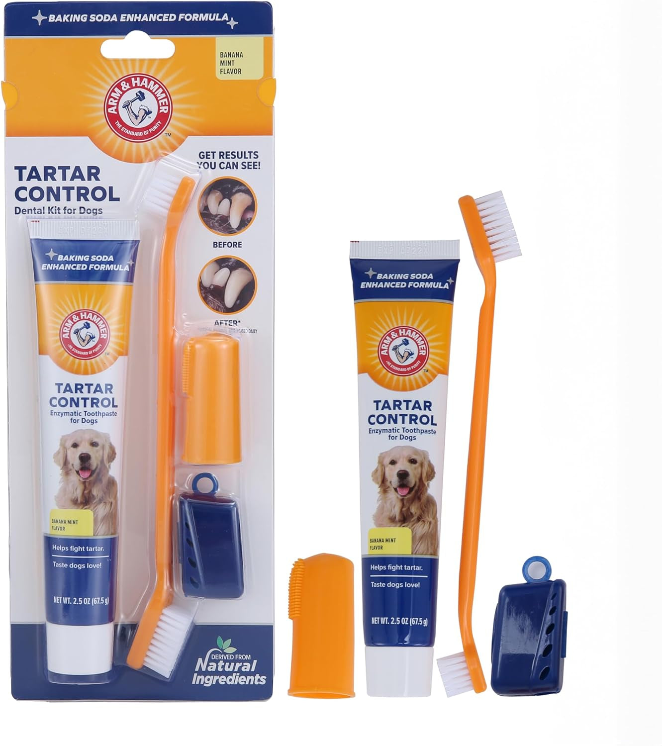 Tartar Control Dog Dental Kit, Banana Mint, 3-Piece