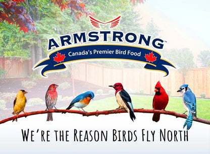 Armstrong Wild Bird Food High Energy Diet All Season Bird Seed Blend, 33Lb