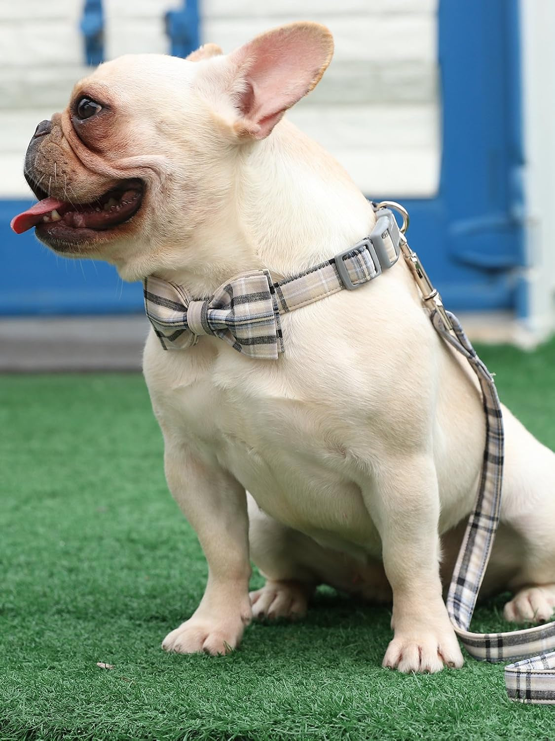 Dog and Cat Collar with Bowtie Grid Collar Plastic Buckle Light Adjustable Collars for Small Medium Large Dogs