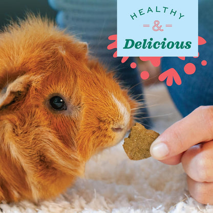 Organic Barley Biscuits Rabbit Treats, Guinea Pig Treats, 2.65 Oz