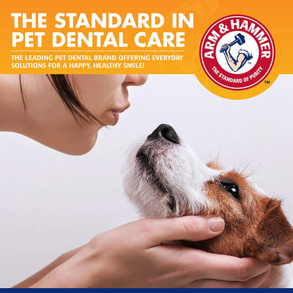 Tartar Control Dog Dental Kit, Banana Mint, 3-Piece