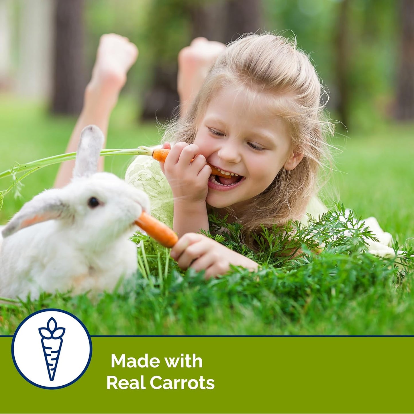 Slims Carrot Small Animal Treats – Light, Healthy Food Bites - Crispy Carrot Treats for Rabbits, Guinea Pigs, Hamsters & Chinchillas (10Oz)