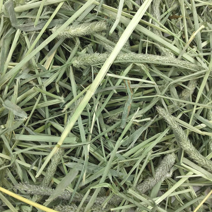 Western Timothy Hay, Rabbit & Guinea Pig Hay, High Fiber, USA, 90 Oz